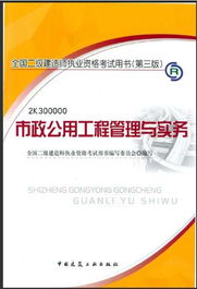 《全国二级建造师执业资格考试用书（第3版）市政公用工程管理与实务》核心内容解析 施工组织与工程管理服务